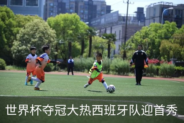 世界杯夺冠大热西班牙队迎首秀 伊朗队入境美国参赛