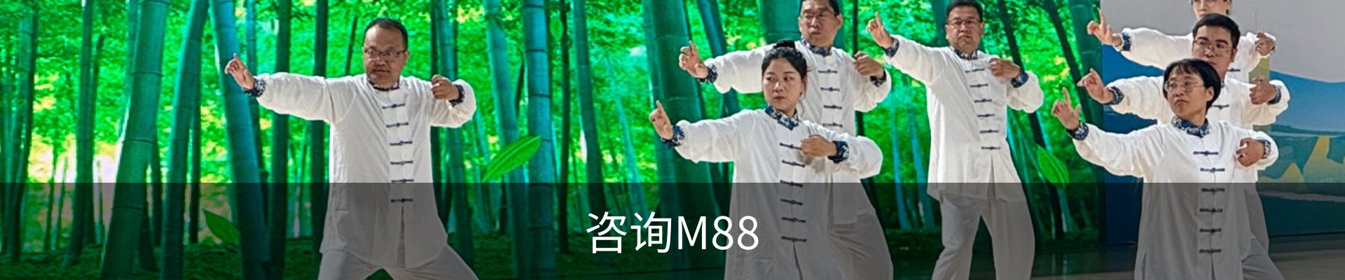 咨询M88